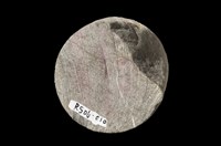 粉砂岩藏品圖，第8張
